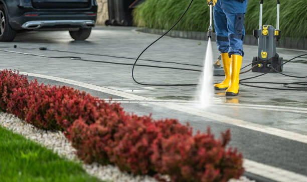 Best Building Exterior Washing  in Vandercook Lake, MI